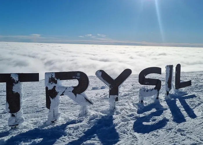 Alpinvegen 22b, Alpin 22b